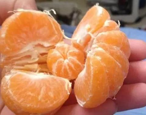 幸运|吃货的“幸运时刻”饮料再来一瓶不算啥,遇到最后一个比捡钱还兴奋