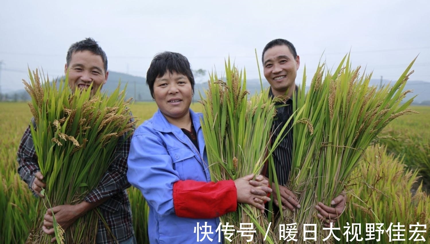 舌尖上的中国|《舌尖上的中国》第三季: 还是原来的配音, 但早已不是熟悉的味道