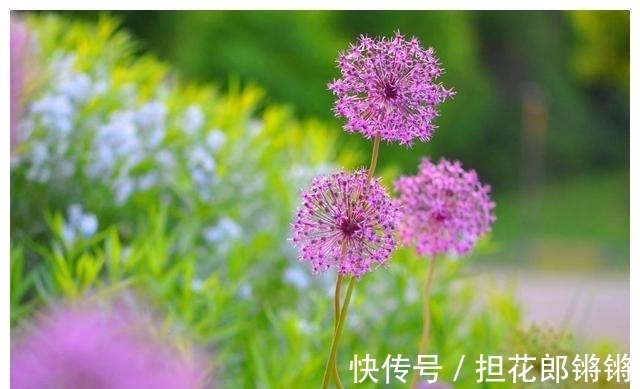 财运|7月中上旬，运势旺，财运旺，桃花旺的生肖大吉大利