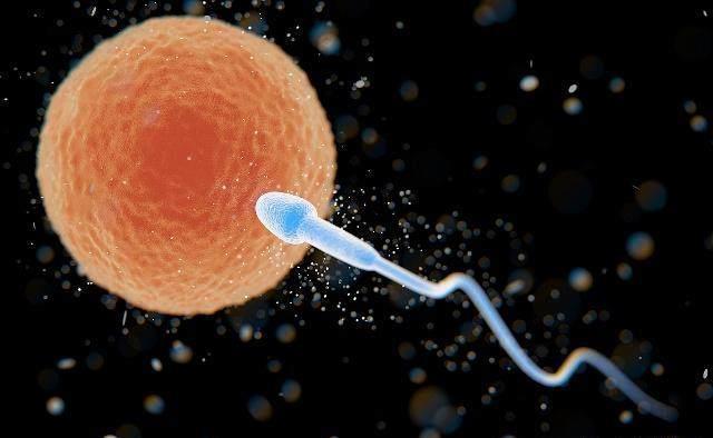 受精卵着床,要几天时间?若你成功受孕,身体会有这3种“感觉”