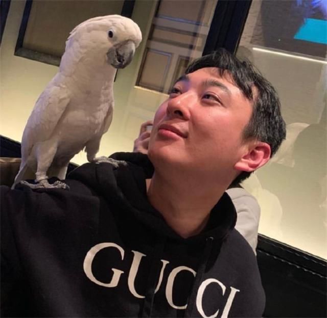 就要|小团团真想加入IG？身为吃鸡主播却进了LOL战队，首场就要对战T1