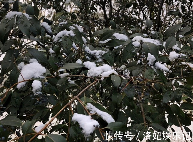 农村俗语:冷雨水,暖惊蛰,啥意思?今年会遇