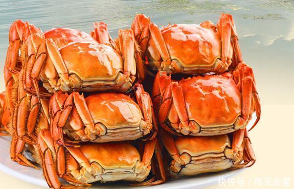 超市|超市中的爱马仕,蘑菇2300一斤,牛肉1580一斤