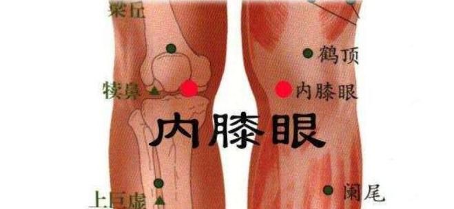  引血|膝盖，人体中转站！只需2招，祛寒止痛、引血下行，激活全身气血
