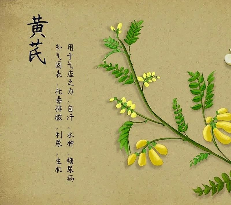 黄芪|中医防疫有妙招，嵊州市中医院推出防疫方和香囊
