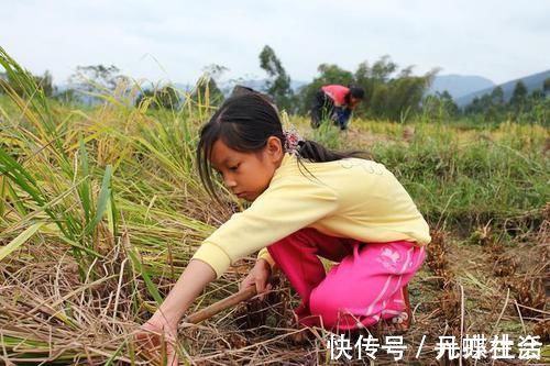 责任感|三胞胎合伙打哭小姨,妈妈问是谁打的?3个宝宝立刻就窝里反了