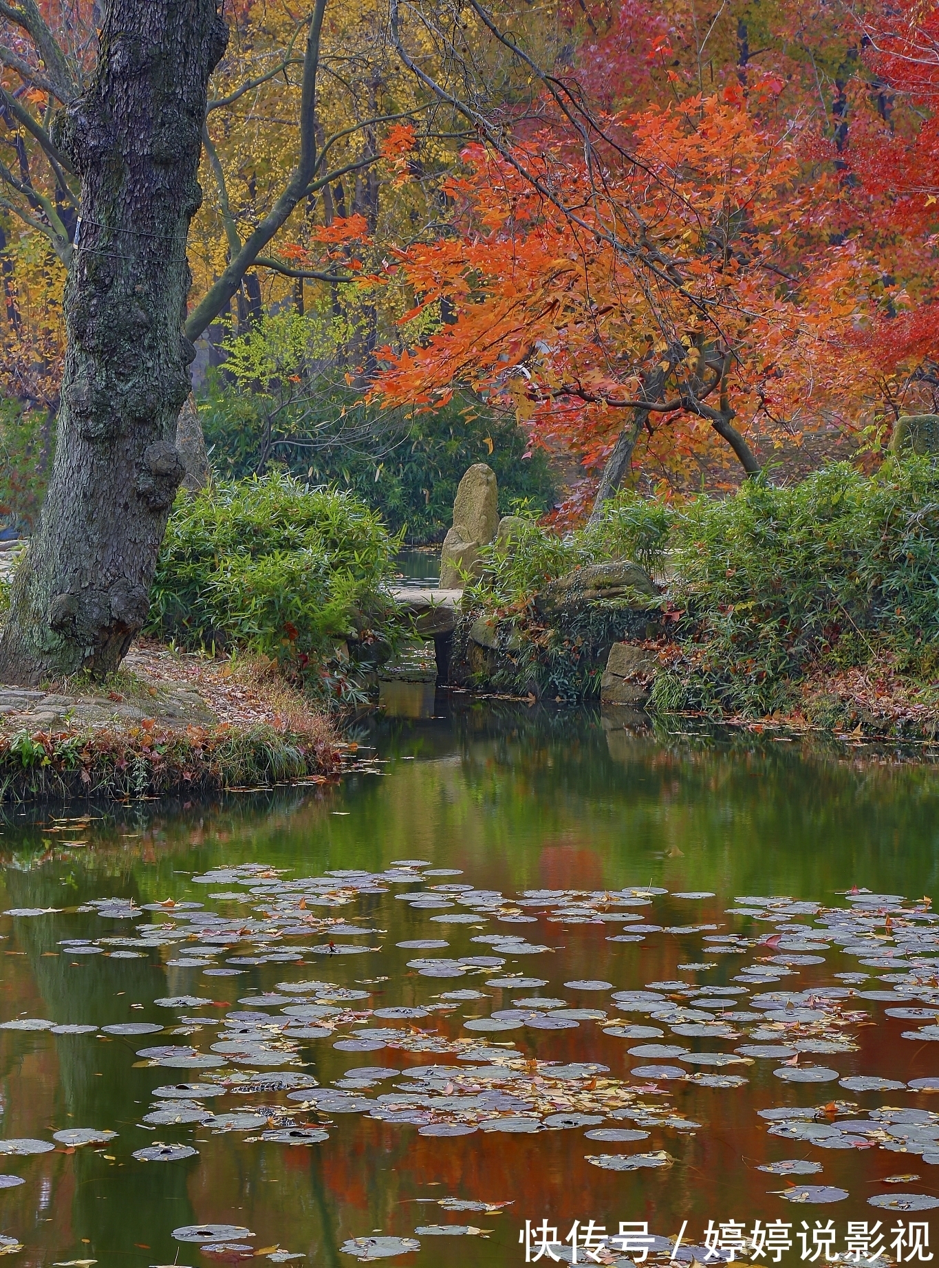 银川@古诗七律:敢让冰川辉秀色,争教春日赛奇葩