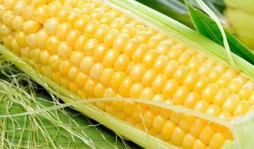 垃圾|血液垃圾的“清道夫”来了，吃的越多血管越干净，血栓不来扰