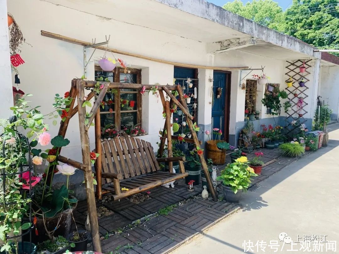 院子|这样的小院，谁不爱？