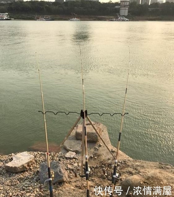 高温|顶着38度的高温才钓上的巨物,老婆却让我给卖了