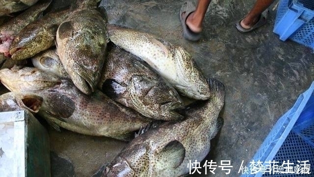 钓组|放长线沉底钓的装备和钓组结构,爱钓大鱼的你别错过