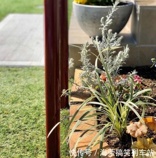 断舍离生活！日本太太坚持每天收拾，看完她家后只想回家扔东西