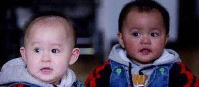 亲生|双胞胎兄弟一帅一丑,爸爸怀疑不是亲生,鉴定结果出来全家人尴尬