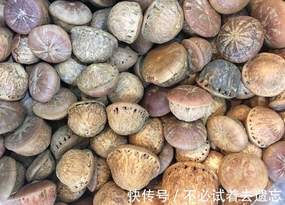 食用价值|农村一种野果子,里边的淀粉含量很高,整株能当成摇钱树