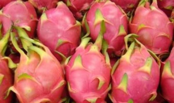 女人最好的“胶原蛋白”,4种水果每天吃两口,皮肤紧致有弹性