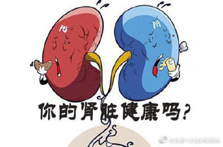 肾病|肾病早期 身体发出的报警信号