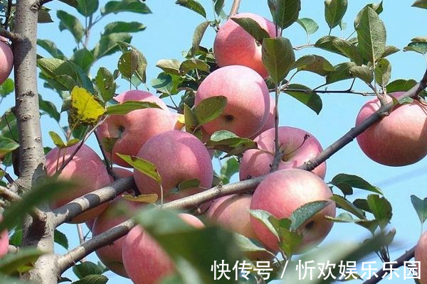 空腹|女性每天早起空腹食用此物，脂肪没了，皮肤年轻细腻，衰老也更慢