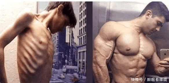 蛋白粉|不健身也不运动的人吃蛋白粉,1年后身体会变怎样