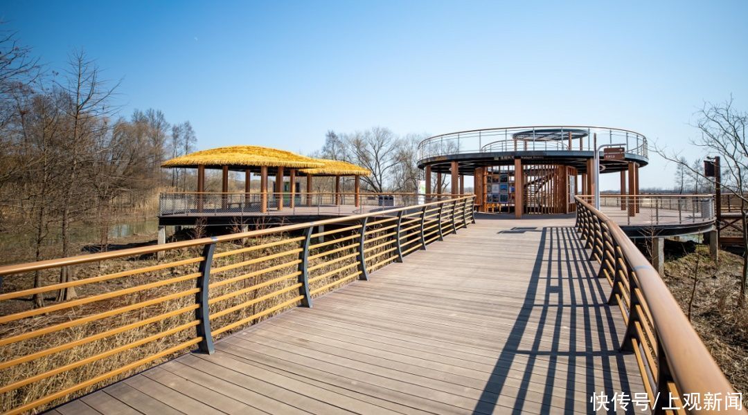 西沙湿地开园啦