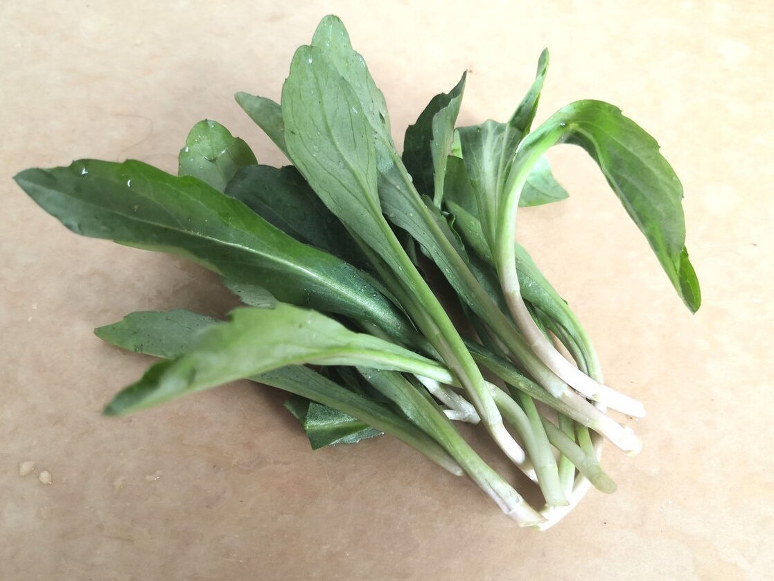 野菜|49种野菜大图片，带你见识不同的野菜和吃法，你想要的野菜这里有