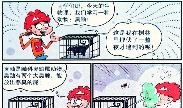 衰漫画臭鼬“班门弄斧”挑战屁王臭不可怕，后坐力太强！