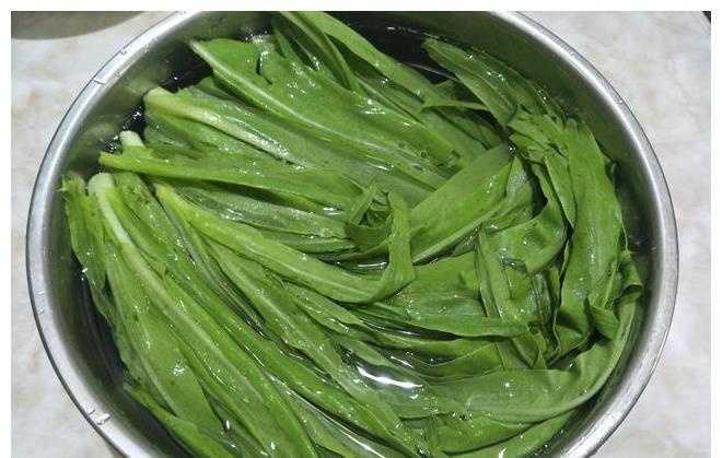 好吃|油麦菜好吃又实惠,教你详细做法,菜叶清脆不发软,入味好吃