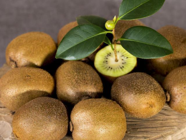 发育|女性怀孕后,4物当“零食”要舍得吃,或能促进胎儿发育