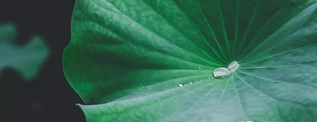  诗词|诗词丨8首佳作，标题仅1个字