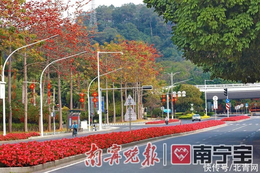 满城繁花一路相伴！邕城的春天太！美！了