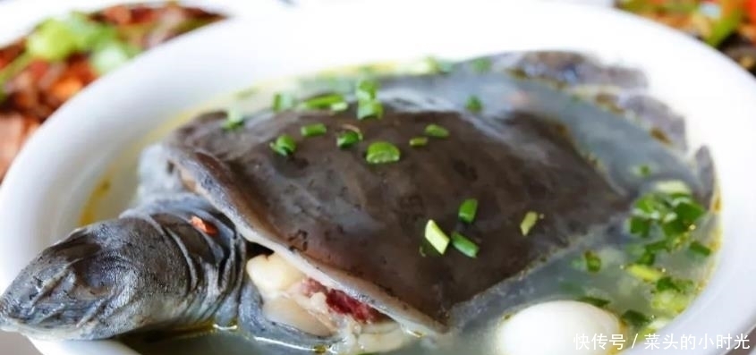 它全身是“宝”被误解多年,口感鲜嫩不输甲鱼,却8元1斤无人买