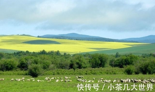 桃花|九月，遇见对的人和收获浪漫的爱情，三大生肖