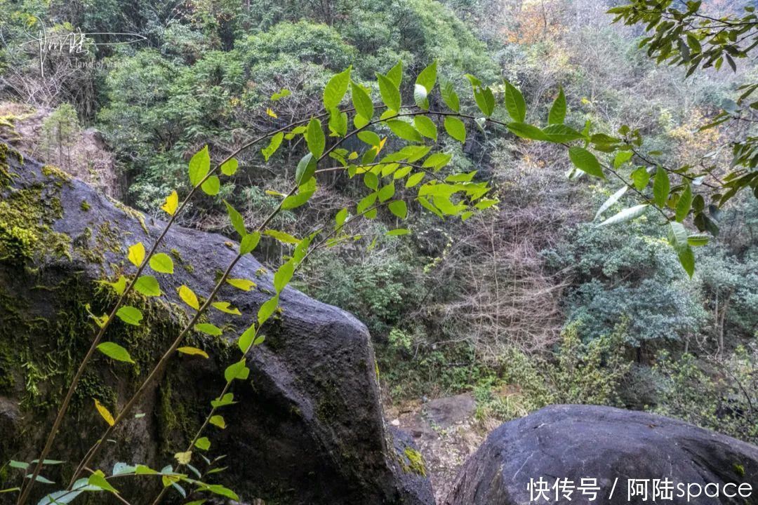 的的|作家冯骥才笔下的的“挑山工”很出名，其实在千佛山景区也有