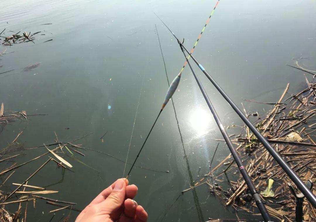 野钓别等黑漂|盯紧你的浮漂！冬天野钓别等黑漂，这样的小信号也能中鱼
