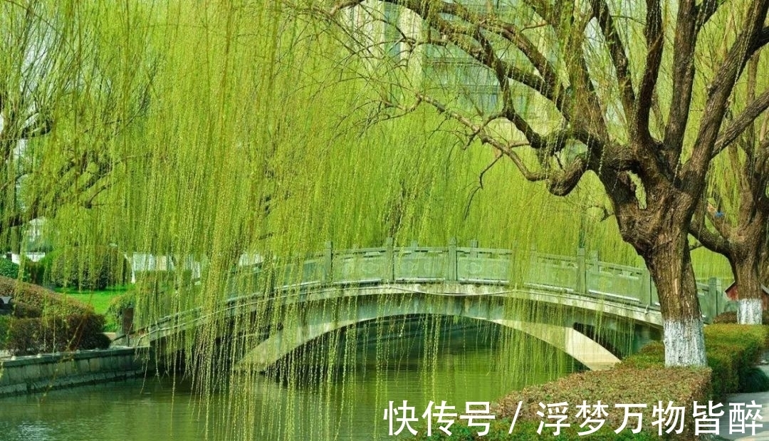 诗篇$与宋之问《渡汉江》同主题的10大诗篇排行榜,榜首很多人想不到