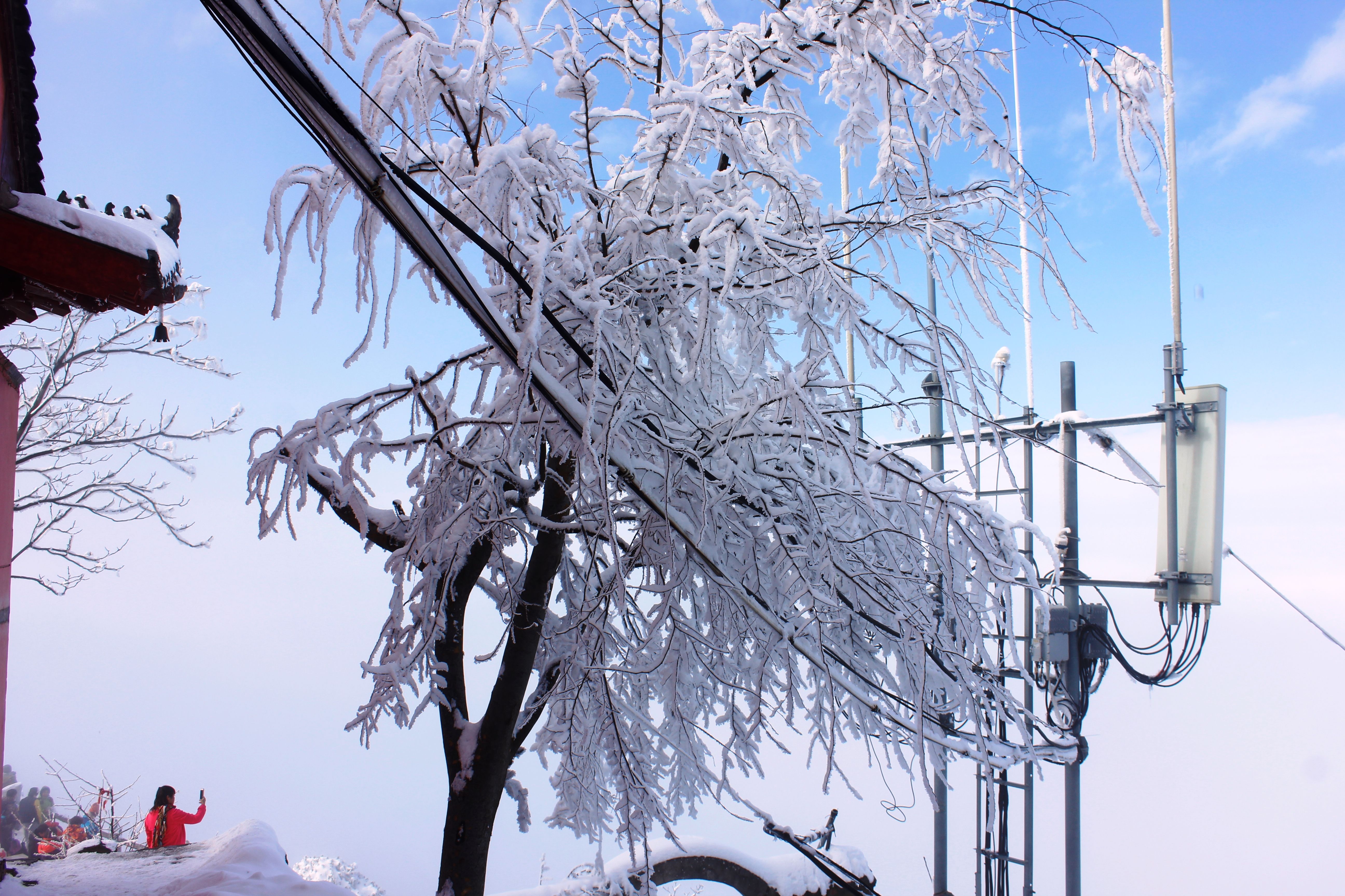 征集|【年末福利征集】雪后南五台幸遇云海