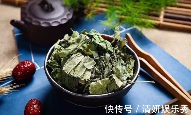 肺火|1片桑叶9味良药！老中医教你桑叶妙用，9大功效受用一生！