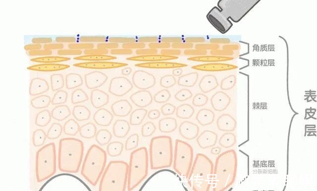 透明质酸|惊了!护肤品天天抹,吸收率竟然这么低!