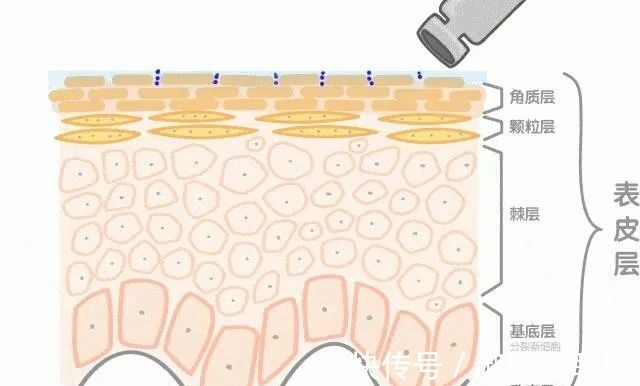 透明质酸|惊了！护肤品天天抹，吸收率竟然这么低！