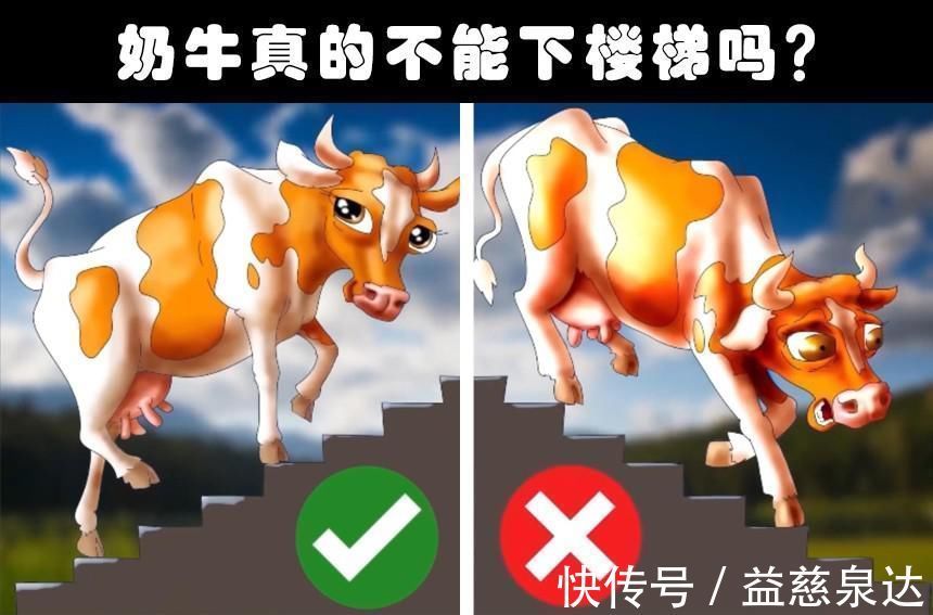 有趣事实这个世界上存在着的8个奇怪的冷知识