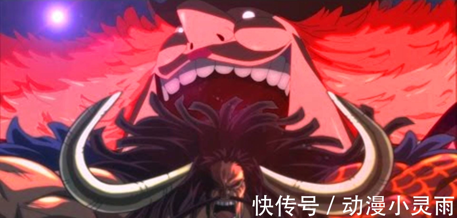 恶魔果实|《海贼王》凯多为何要建立百兽军团?网友:这或许是尾田的梦想