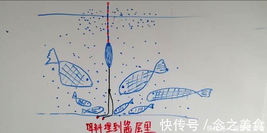 黑坑如何解决水底“酱层”问题的我提供3种方法