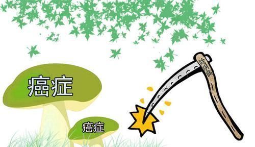  癌症病人求生指南查出癌症，医生希望你做好四点抗癌准备