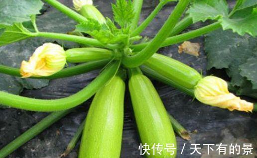 肠胃|人到中年，常吃以下食物，排毒养颜，调理肠胃，安神助睡眠