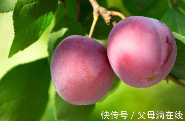 养肝护肝|有肝病不能吃橘子？医生：肝不好的人，这5种水果不妨常吃