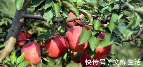 气血|气血不足的女性，多吃3种食物，气色可能一天比一天好