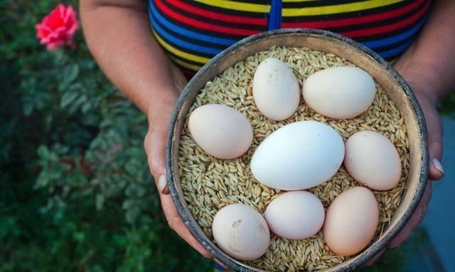 白皙|孕期常吃这几种食物,不仅能预防胎儿黄疸,将来皮肤也白皙