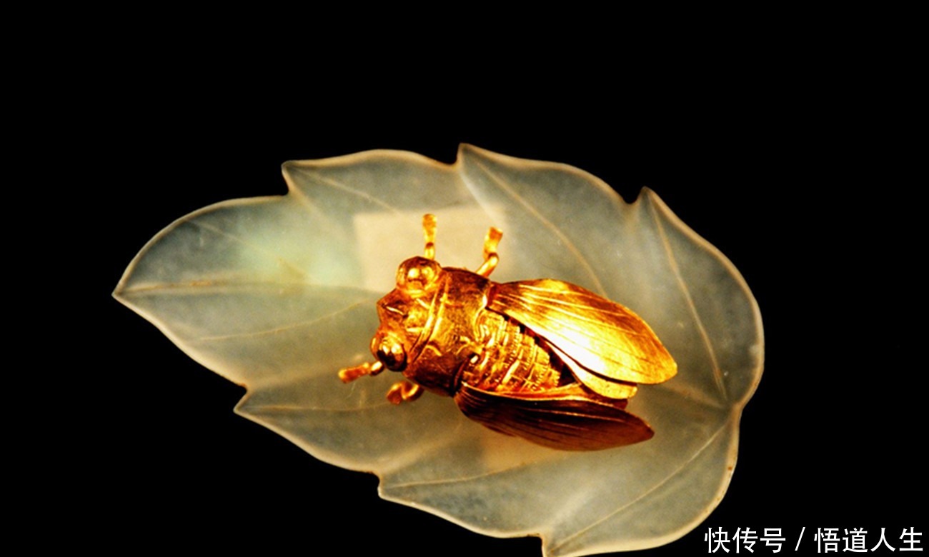 张安晚|明朝古墓出土一文物让专家兴奋不已,终于知道了金枝玉叶的含义