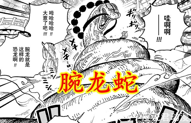 三角龙|海贼王:恐龙系能力者中的两大鬼才,打破了常规的生物常识