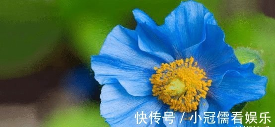 男孩子|光明磊落的星座：明明与世无争，为何常吃“哑巴亏”？