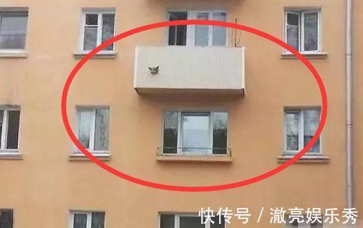 重装|头回见这样封阳台的,太机智了,好想把家里的阳台拆了重装!